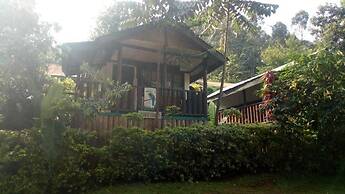 Bwindi View Lodge & Camp Site