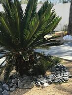 L'Oasis Vendargues