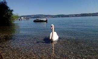 Gasthaus Hotel Anker