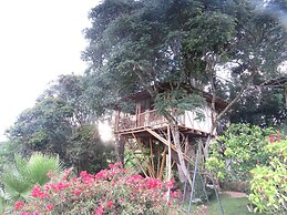 Finca el Cielo