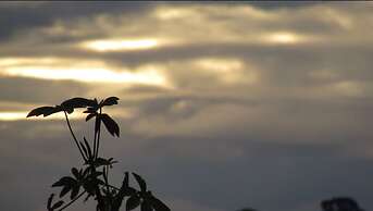 Finca el Cielo