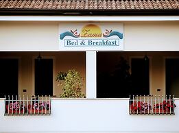 Zama Bed&Breakfast