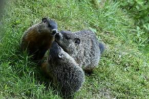 Domaine le Bostonnais