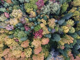 Domaine le Bostonnais