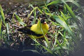 Domaine le Bostonnais