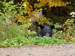 Domaine le Bostonnais