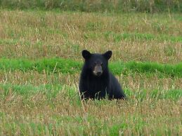 Domaine le Bostonnais