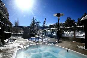 1 Bedroom Ski in, Ski out Mountain Vacation Rental Located Next to His