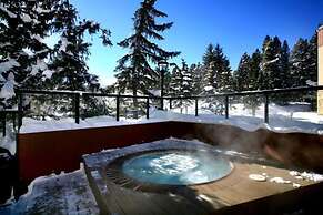 3 Bedroom Ski in, Ski out Mountain Vacation Rental Located Next to His