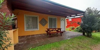 Verde y Sol en la Colonia