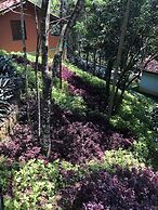 Cachoeira do Macuco Boutique Hotel