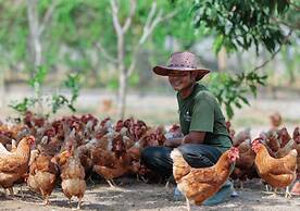 Stay Wellbeing & Lifestyle Resort