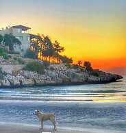 Athena Premium Hotels