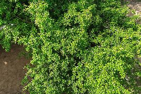 Lux Airport Apartment