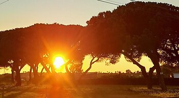 Sublime Sun & Van, By Meco Stays