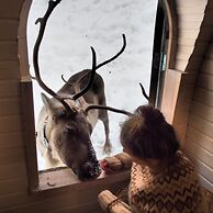 Igluhut sleeping with reindeer