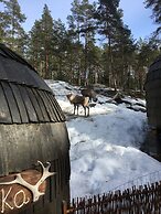 Igluhut sleeping with reindeer