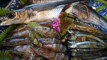 Yakushima Shikinoyado Onoaida