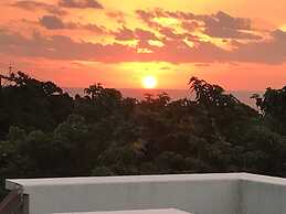 Yakushima Shikinoyado Onoaida