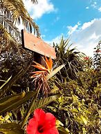 Yakushima Shikinoyado Onoaida