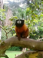 Ecoadventure Amazon