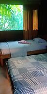 Ecoadventure Amazon