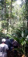 Ecoadventure Amazon