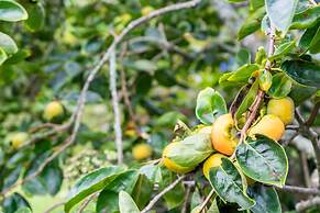 Glenbervie Cottages and Bed & Breakfast