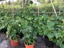 Pensionat Kanalvillan