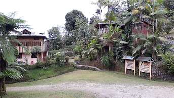 Mindo Loma Bird Lodge