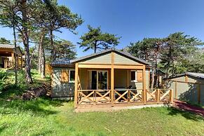 Camping la Viste