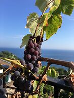 Agapanto Luxury Accommodation