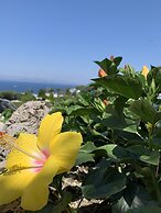 Agapanto Luxury Accommodation