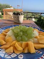 Agapanto Luxury Accommodation