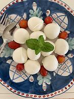 Agapanto Luxury Accommodation