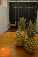 Africa house-Casa Hotel Laureles-La70