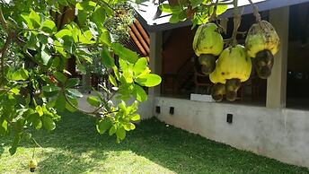 Go Go Green Resort