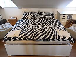 Prague Castle View Apartment