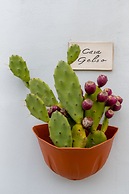 Borgo Tortorella - Casa Gelso