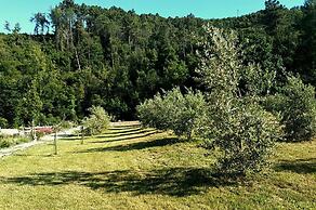 Mulino Della Rivolta