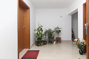 Apartments Levan Ceja