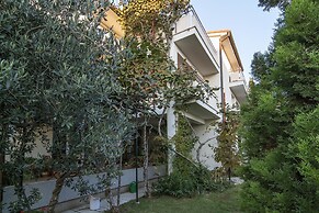 Apartments Levan Ceja