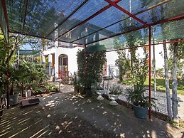 Apartments Ana Valbandon