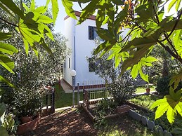 Apartments Ana Valbandon