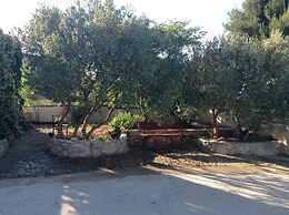 Apartments Ivana Murter