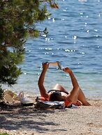 Apartments Biba Banjole / Two Bedrooms A1