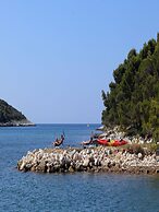 Apartments Biba Banjole / Two Bedrooms A1