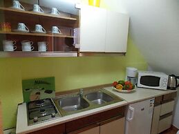 Apartment Tomy / Studio Terrace A1