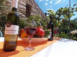 Apartment Tomy / Studio Terrace A1