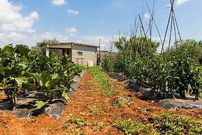 Apartments Ana Pula / Exclusive two Bedroom A5